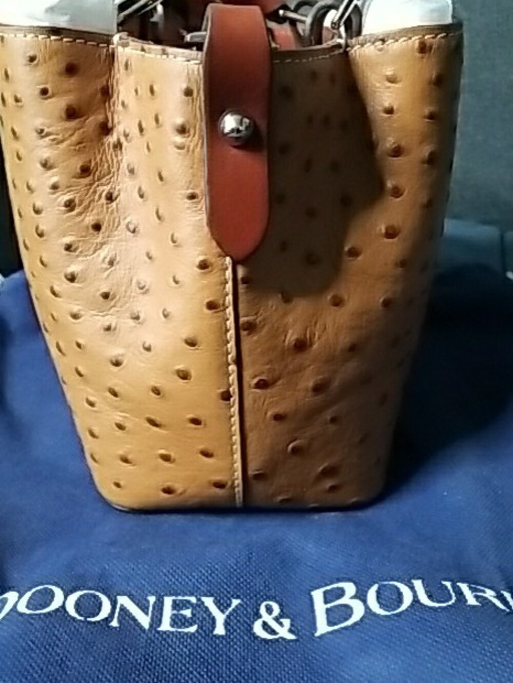 Dooney & Bourke Tan Ostrich-Embossed Satchel Mini with Brown Trim - Picture 7 of 13